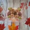 Charme d'Automne