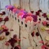 Jardinière des Rêves