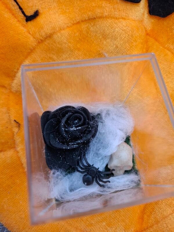 mystere-nuit-decor-enchante-decoration-4.jpg Petite boîte enchantée, rose noire, araignée noire et décoration mystique, charme obscur.