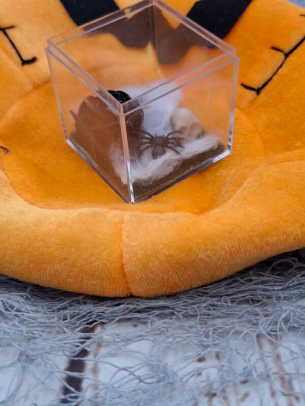 rose-noire-crane-toile-araignee-boite-paillettes-1.jpg Rose noire en mousse, crâne miniature et araignée sur pelouse synthétique, création mystérieuse.