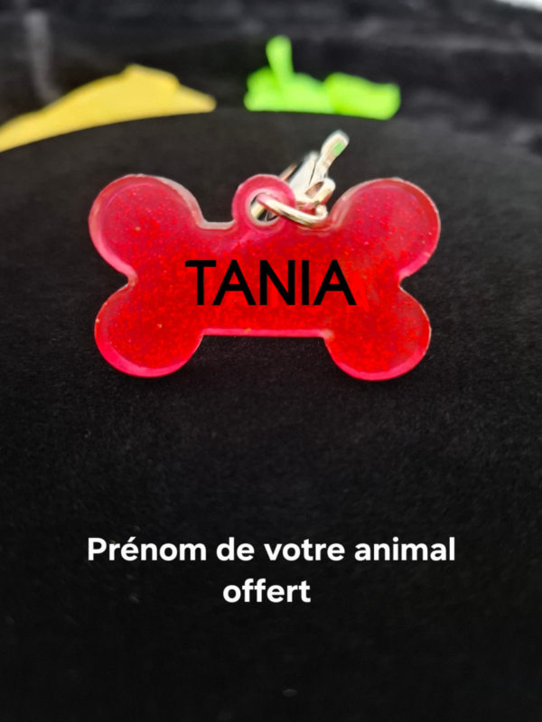 Médaillon porte-clés Os en résine époxy rose, personnalisable avec le prénom de votre animal, léger et délicat, idéal pour accrocher au collier de votre chien ou chat, ou à un sac pour une touche originale.